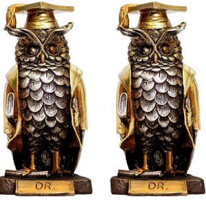 Pair of Dr. Owl Lucky Charm Graduation Gift for Her | Grad Gift for Daughter